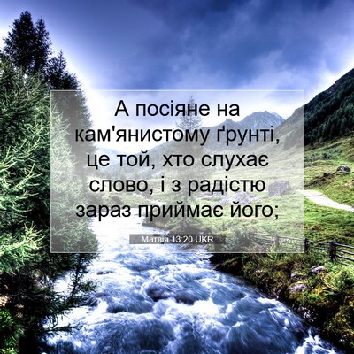Picture 07 - Матвія 13:20 UKR - А посіяне на кам'янистому - Bible Verse Picture
