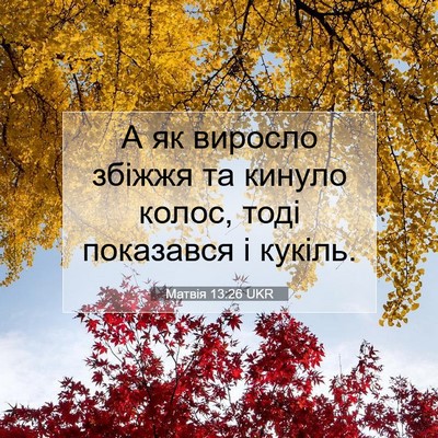 Picture 07 - Матвія 13:26 UKR - А як виросло збіжжя та - Bible Verse Picture