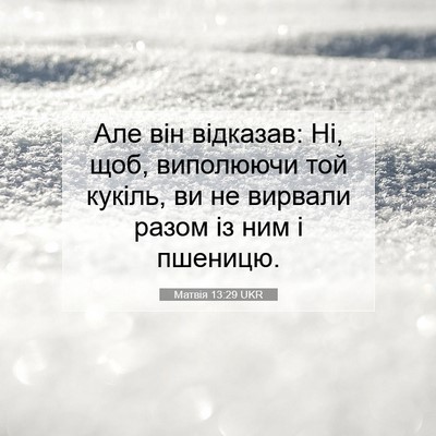 Picture 07 - Матвія 13:29 UKR - Але він відказав: Ні, щоб, - Bible Verse Picture