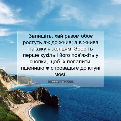 Picture 07 - Матвія 13:30 UKR - Залишіть, хай разом обоє - Bible Verse Picture