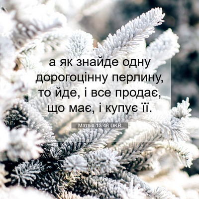Picture 07 - Матвія 13:46 UKR - а як знайде одну - Bible Verse Picture