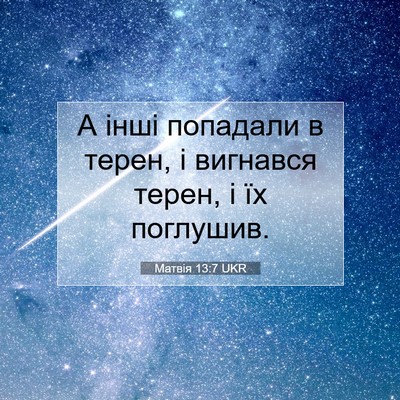 Picture 07 - Матвія 13:7 UKR - А інші попадали в терен, і - Bible Verse Picture