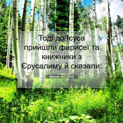 Picture 07 - Матвія 15:1 UKR - Тоді до Ісуса прийшли - Bible Verse Picture