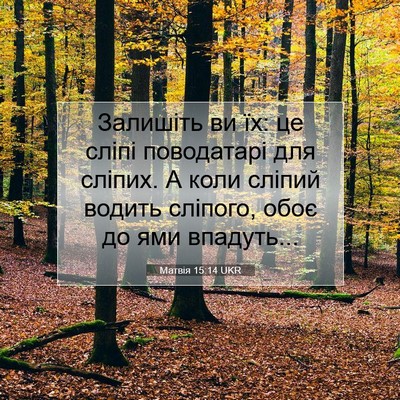 Picture 07 - Матвія 15:14 UKR - Залишіть ви їх: це сліпі - Bible Verse Picture