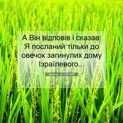 Picture 07 - Матвія 15:24 UKR - А Він відповів і сказав: Я - Bible Verse Picture