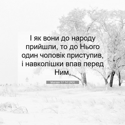 Picture 07 - Матвія 17:14 UKR - І як вони до народу - Bible Verse Picture