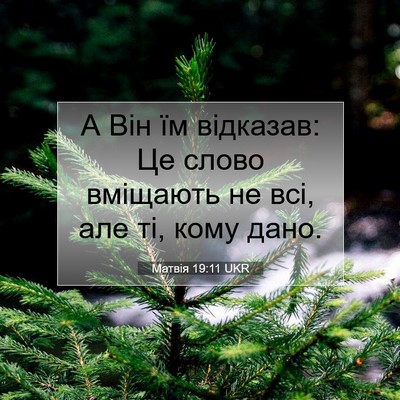 Picture 07 - Матвія 19:11 UKR - А Він їм відказав: Це слово - Bible Verse Picture