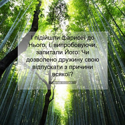 Picture 07 - Матвія 19:3 UKR - І підійшли фарисеї до - Bible Verse Picture