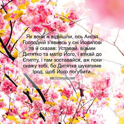 Picture 07 - Матвія 2:13 UKR - Як вони ж відійшли, ось - Bible Verse Picture