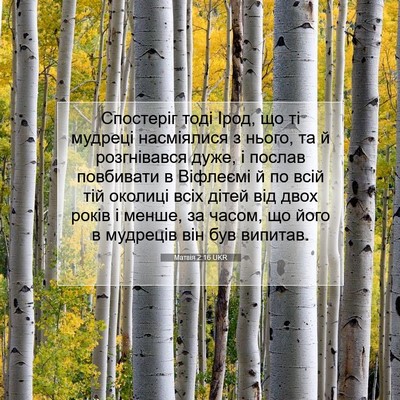 Picture 07 - Матвія 2:16 UKR - Спостеріг тоді Ірод, що ті - Bible Verse Picture