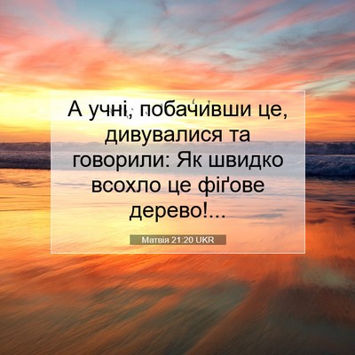 Picture 07 - Матвія 21:20 UKR - А учні, побачивши це, - Bible Verse Picture