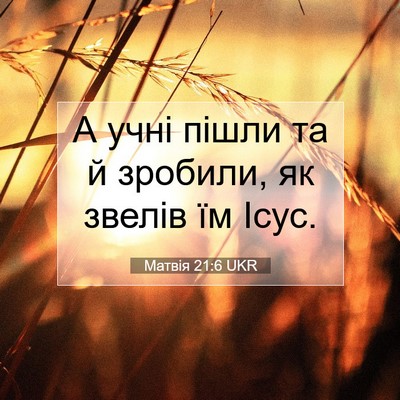 Picture 07 - Матвія 21:6 UKR - А учні пішли та й зробили, - Bible Verse Picture