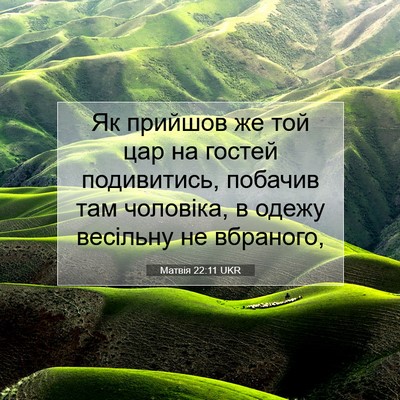 Picture 07 - Матвія 22:11 UKR - Як прийшов же той цар на - Bible Verse Picture