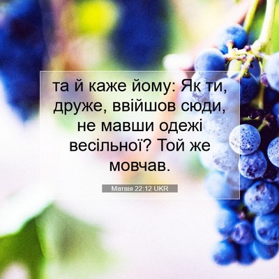 Picture 07 - Матвія 22:12 UKR - та й каже йому: Як ти, друже, - Bible Verse Picture