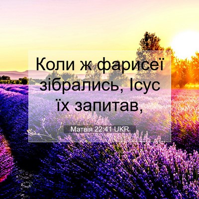 Picture 07 - Матвія 22:41 UKR - Коли ж фарисеї зібрались, - Bible Verse Picture