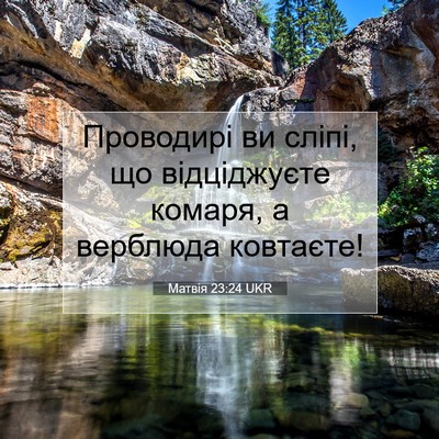Picture 07 - Матвія 23:24 UKR - Проводирі ви сліпі, що - Bible Verse Picture