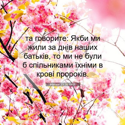 Picture 07 - Матвія 23:30 UKR - та говорите: Якби ми жили - Bible Verse Picture