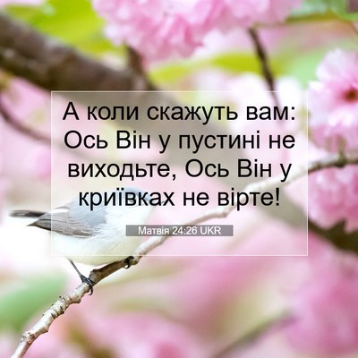 Picture 07 - Матвія 24:26 UKR - А коли скажуть вам: Ось Він - Bible Verse Picture