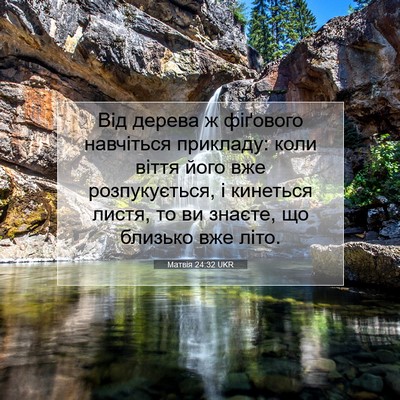 Picture 07 - Матвія 24:32 UKR - Від дерева ж фіґового - Bible Verse Picture