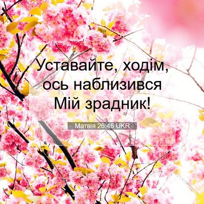 Picture 07 - Матвія 26:46 UKR - Уставайте, ходім, ось - Bible Verse Picture