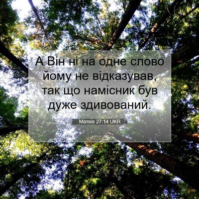 Picture 07 - Матвія 27:14 UKR - А Він ні на одне слово йому - Bible Verse Picture