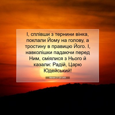 Picture 07 - Матвія 27:29 UKR - І, сплівши з тернини вінка, - Bible Verse Picture