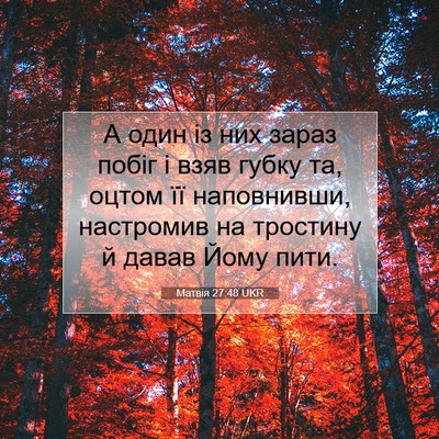 Picture 07 - Матвія 27:48 UKR - А один із них зараз побіг і - Bible Verse Picture