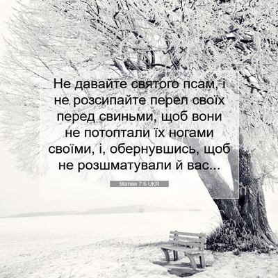 Picture 07 - Матвія 7:6 UKR - Не давайте святого псам, і - Bible Verse Picture