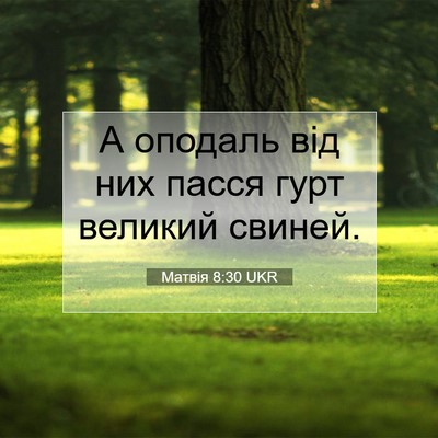 Picture 07 - Матвія 8:30 UKR - А оподаль від них пасся - Bible Verse Picture