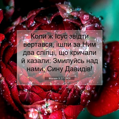Picture 07 - Матвія 9:27 UKR - Коли ж Ісус звідти - Bible Verse Picture
