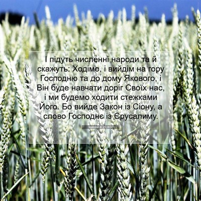 Picture 07 - Михей 4:2 UKR - І підуть численні народи - Bible Verse Picture