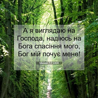 Picture 07 - Михей 7:7 UKR - А я виглядаю на Господа, - Bible Verse Picture