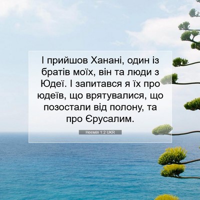 Picture 07 - Неемія 1:2 UKR - І прийшов Ханані, один із - Bible Verse Picture