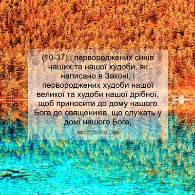 Picture 07 - Неемія 10:36 UKR - (10-37) і первороджених синів - Bible Verse Picture