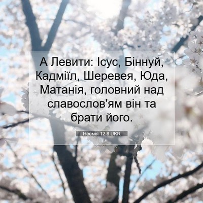 Picture 07 - Неемія 12:8 UKR - А Левити: Ісус, Біннуй, - Bible Verse Picture