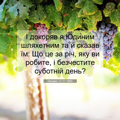 Picture 07 - Неемія 13:17 UKR - І докоряв я Юдиним - Bible Verse Picture