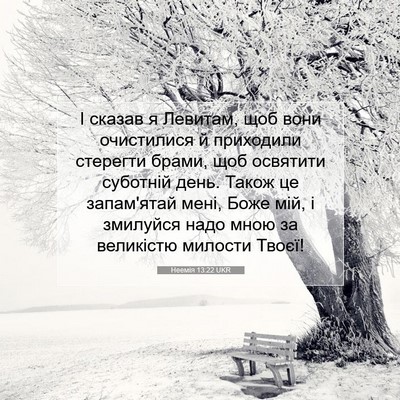 Picture 07 - Неемія 13:22 UKR - І сказав я Левитам, щоб - Bible Verse Picture