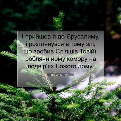 Picture 07 - Неемія 13:7 UKR - І прийшов я до Єрусалиму, і - Bible Verse Picture