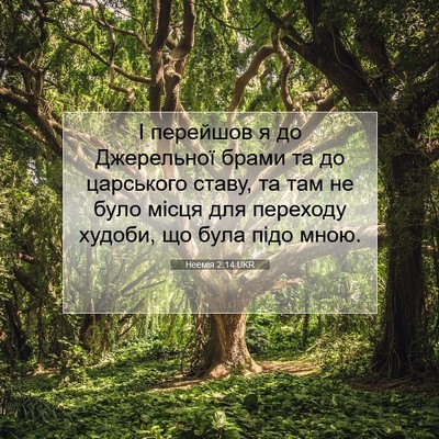 Picture 07 - Неемія 2:14 UKR - І перейшов я до Джерельної - Bible Verse Picture