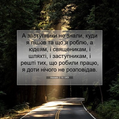 Picture 07 - Неемія 2:16 UKR - А заступники не знали, куди - Bible Verse Picture