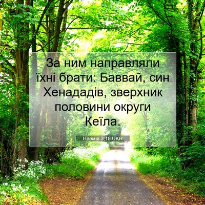 Picture 07 - Неемія 3:18 UKR - За ним направляли їхні - Bible Verse Picture