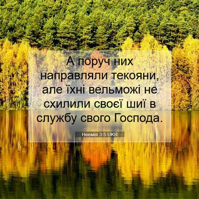 Picture 07 - Неемія 3:5 UKR - А поруч них направляли - Bible Verse Picture