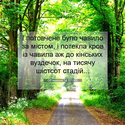 Picture 07 - Об'явлення 14:20 UKR - І потовчене було чавило за - Bible Verse Picture