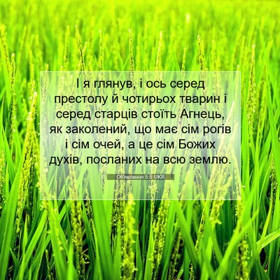 Picture 07 - Об'явлення 5:6 UKR - І я глянув, і ось серед - Bible Verse Picture