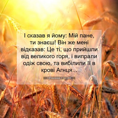 Picture 07 - Об'явлення 7:14 UKR - І сказав я йому: Мій пане, - Bible Verse Picture