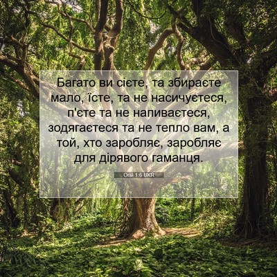 Picture 07 - Огій 1:6 UKR - Багато ви сієте, та - Bible Verse Picture