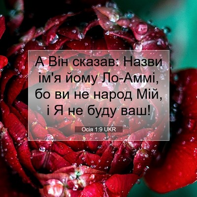 Picture 07 - Осія 1:9 UKR - А Він сказав: Назви ім'я - Bible Verse Picture