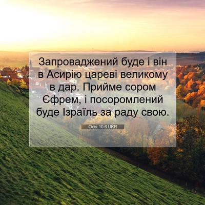 Picture 07 - Осія 10:6 UKR - Запроваджений буде і він в - Bible Verse Picture