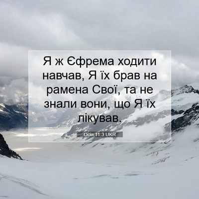 Picture 07 - Осія 11:3 UKR - Я ж Єфрема ходити навчав, Я - Bible Verse Picture