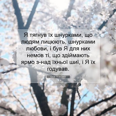 Picture 07 - Осія 11:4 UKR - Я тягнув їх шнурками, що - Bible Verse Picture